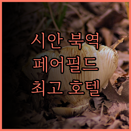 시안 북역 페어필드 호텔 숙박 후기 