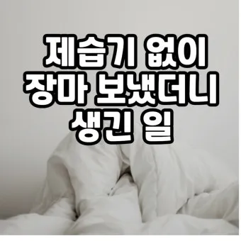 제습기 없이 습기 제거 끝 숯 염화칼슘 등 천연 제습제 활용법 완벽 가이드_17