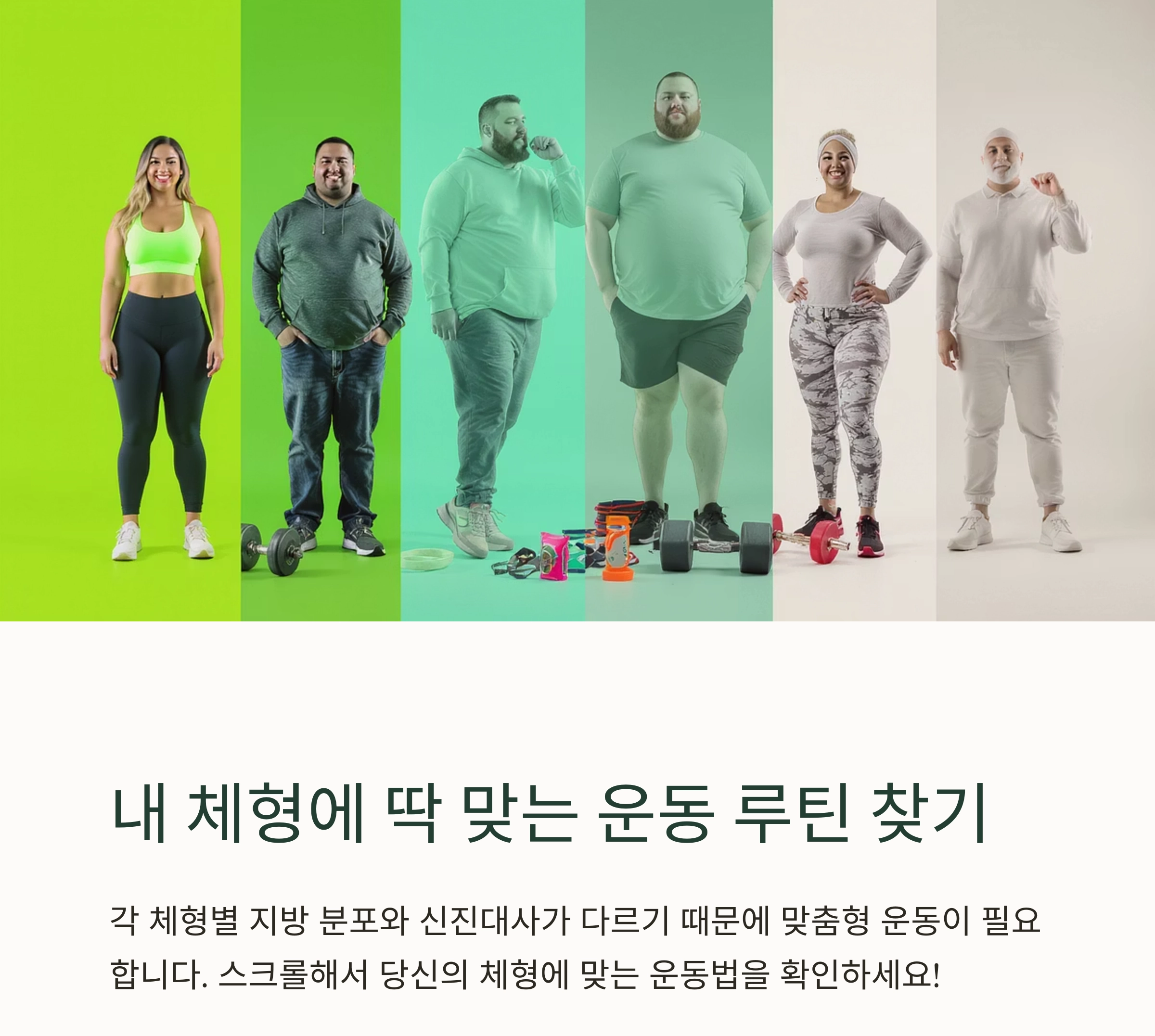 체형별 맞춤 운동 루틴 총정리! 나에게 꼭 맞는 운동법 찾기
