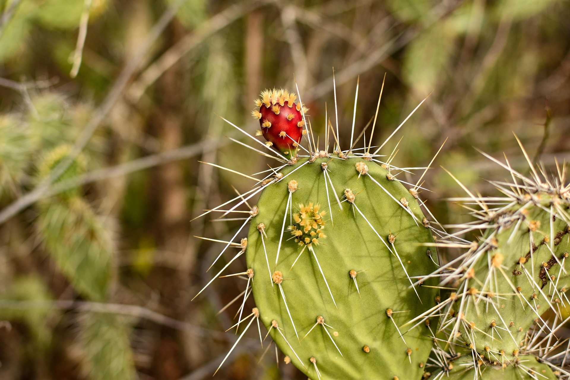 항문질환과 잘못된 배변 습관의 관계