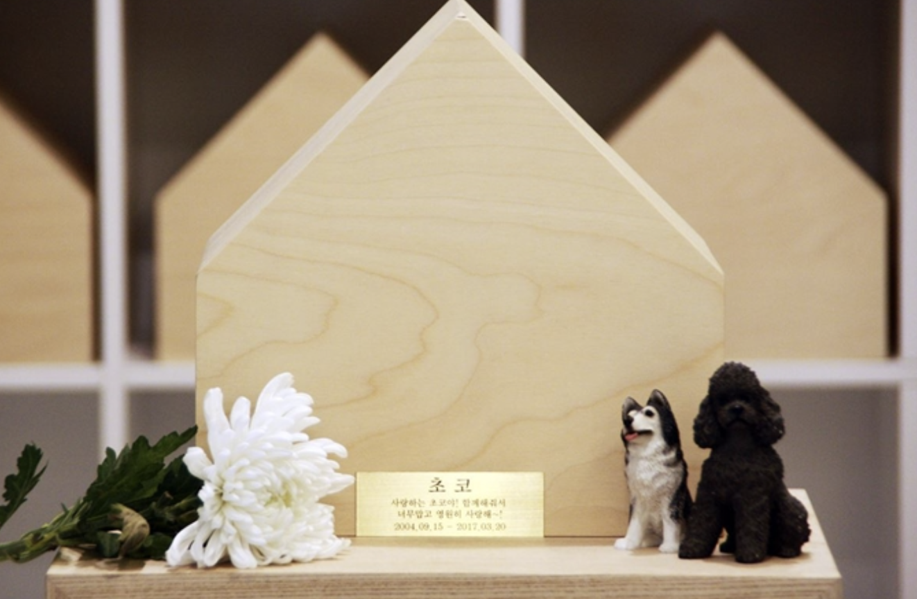 반려동물-장례지도사