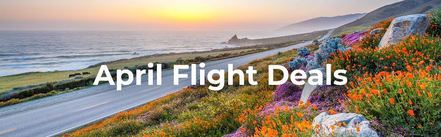 2025년 4월 항공권 특가 완벽 가이드 - 최저가 예약 전략 & 추천 항공사