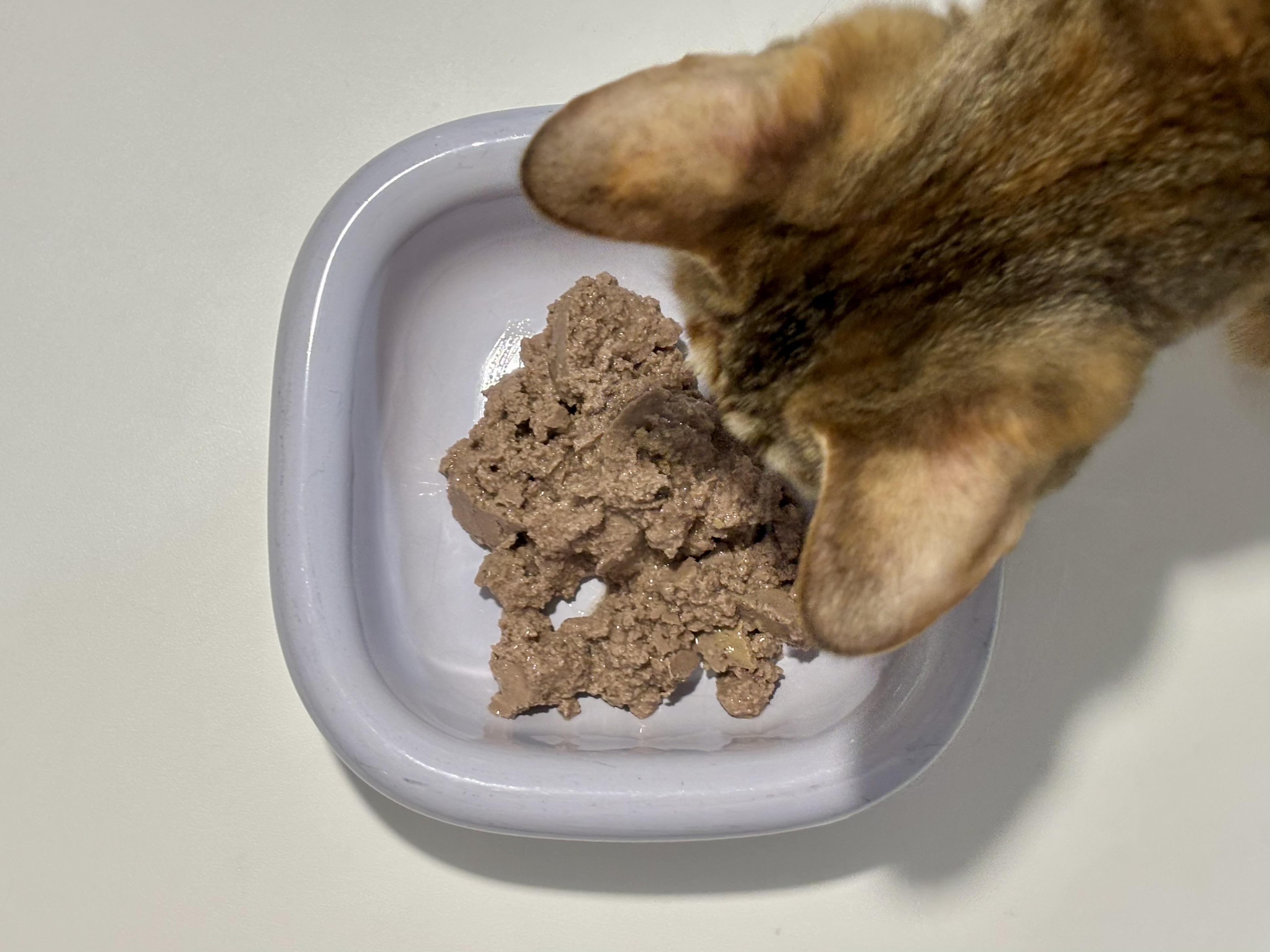 Feline Natural 치킨 &amp; 램 습식 파우치