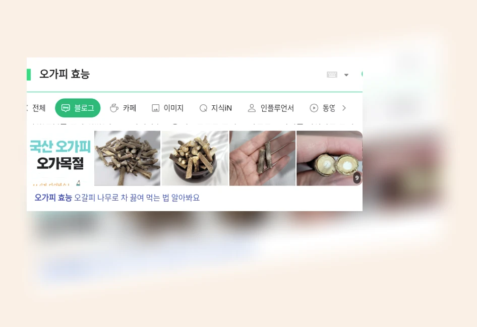 오가피 효능_1_subsection
