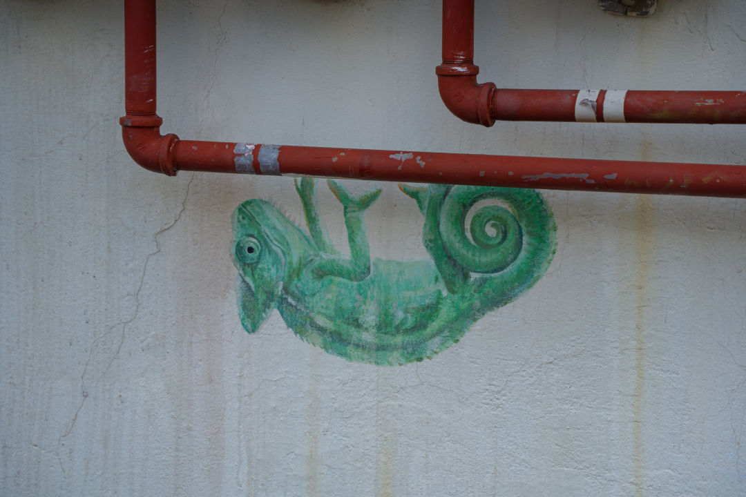 지동벽화마을 벽화 골목