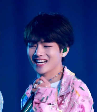 BTS 뷔 스토킹 범인 검거