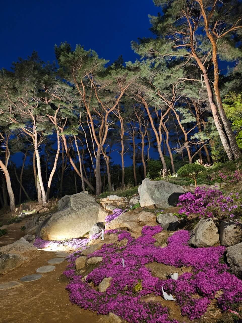 생생정보 핫 플레이스 Now 북한산 둘레길 10구간 북한산 놀면라면 카페 생생정보 2297회