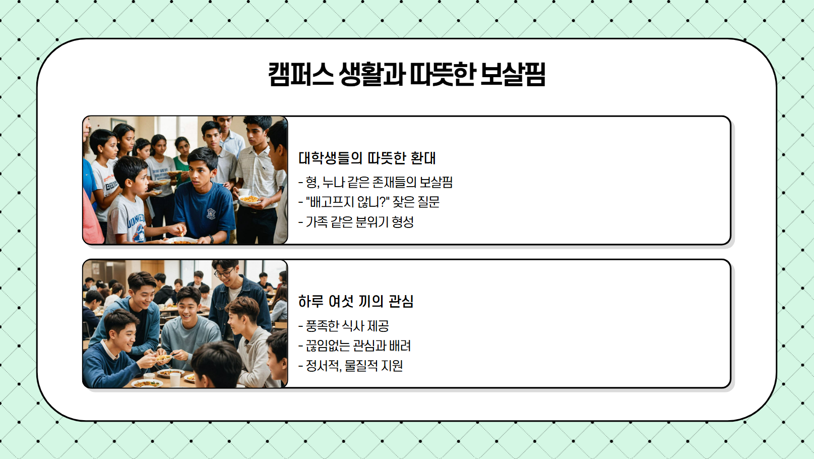 캠퍼스 생활과 따뜻한 보살핌 관련 사진