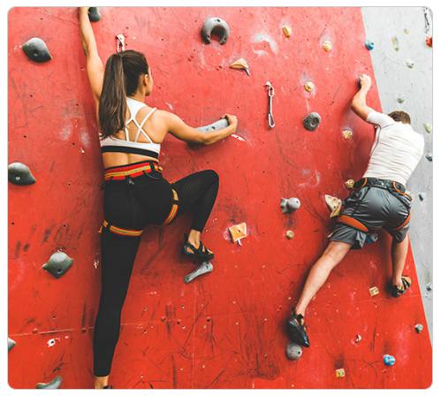 강원 세계산림엑스포 