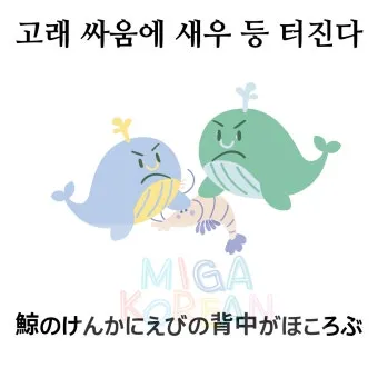 고래 싸움에 새우등 터진다 뜻과 속담 영어 표현 안내집_26