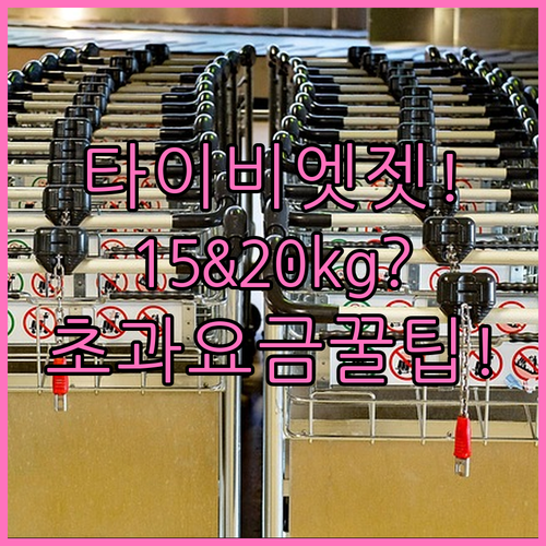타이비엣젯 수하물 15kg 20kg ..