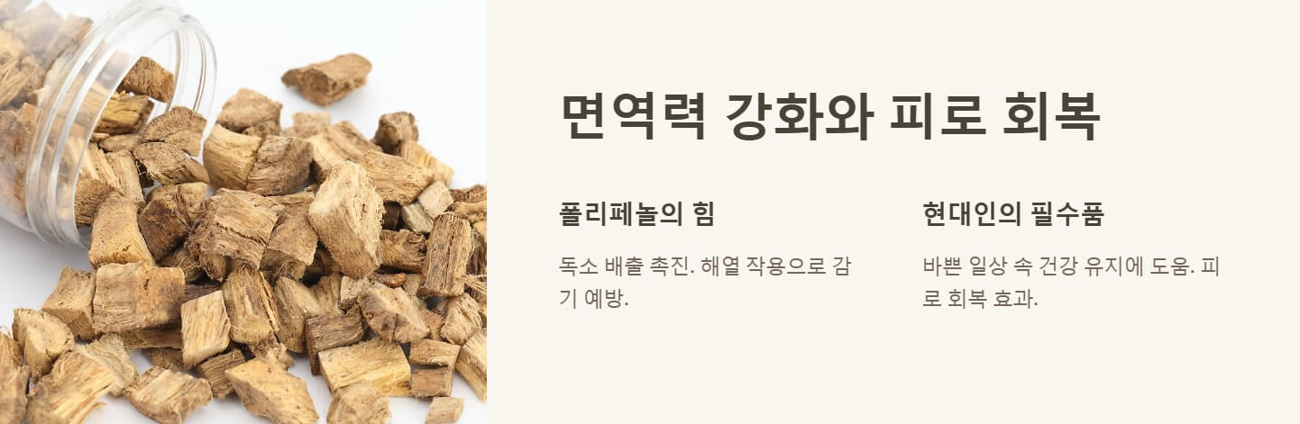 칡즙 효능 부작용 복용법