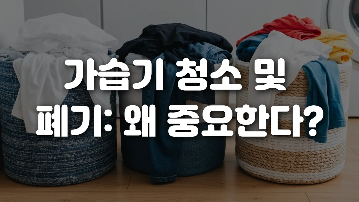 가습기 청소 및 폐기 왜 중요한다