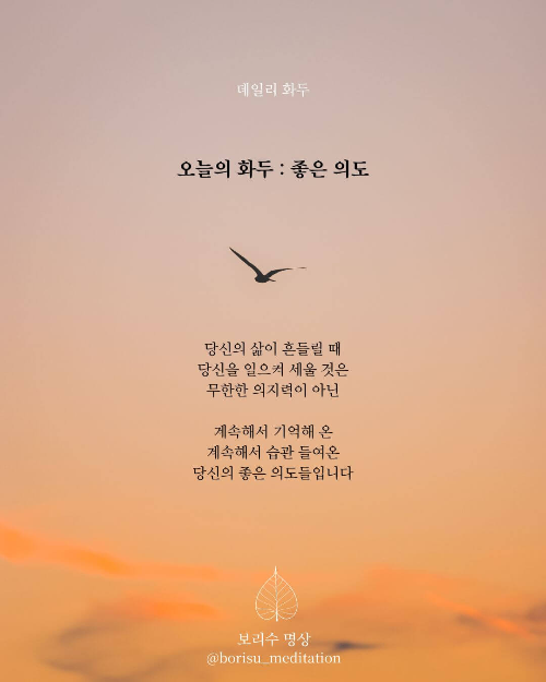 환희지의 보리수 명상 : Day 21 화두 : 좋은 의도