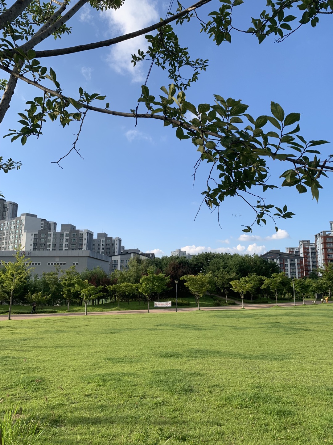 청계중앙공원