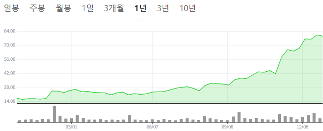 팔란티어 주가 상승선