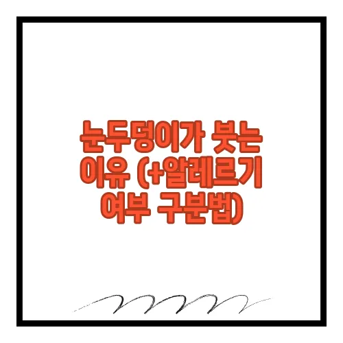 눈두덩이가 붓는 이유 (+알레르기 여부 구분법)