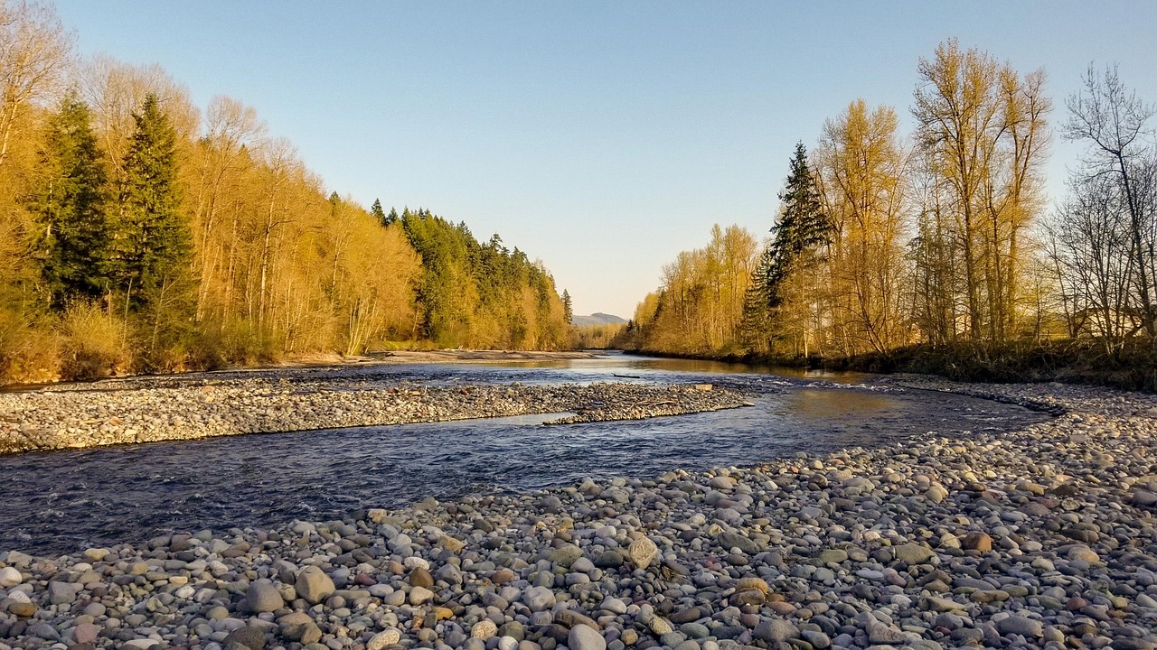 탄소중립 시대의 일자리 변화와 미래 산업