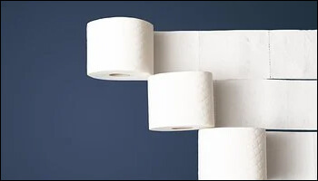 두루마리 휴지가 굴러가는 모습