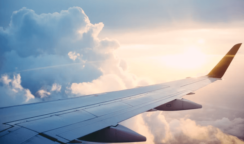 여권없을때 대처법