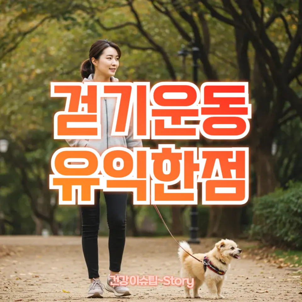 걷기운동 유익한점