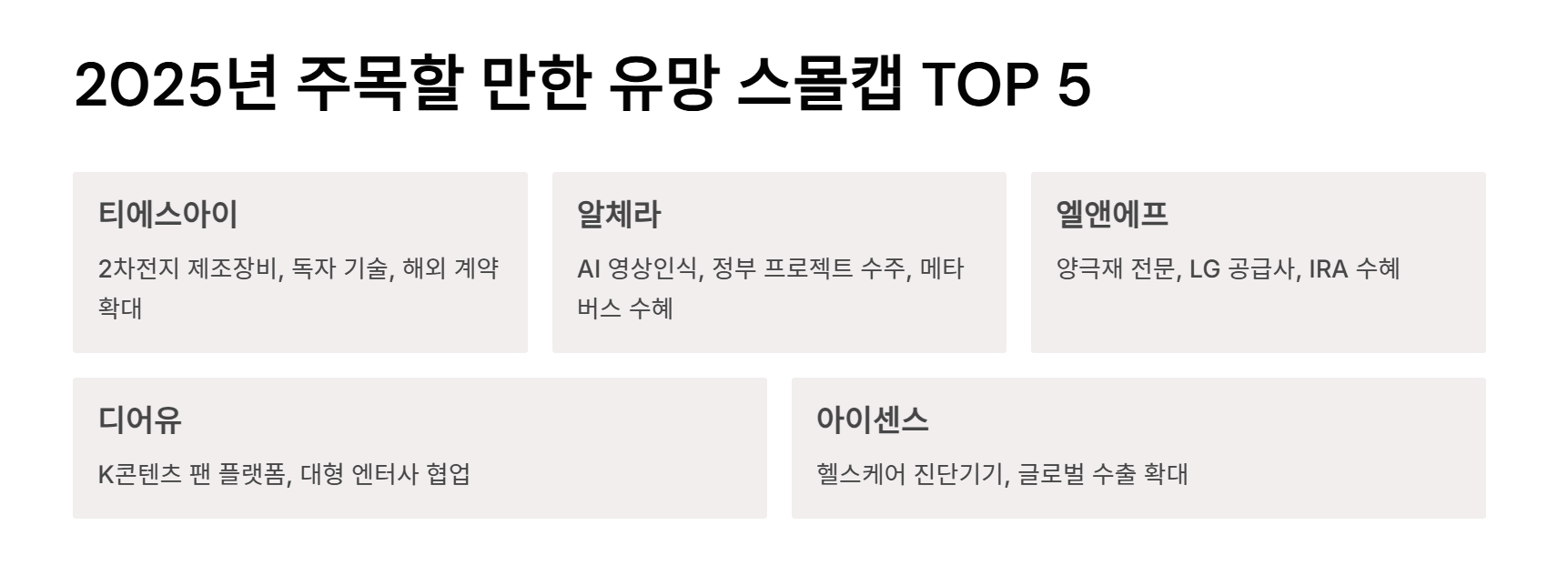 2025년 주목할 만한 유망 스몰캡 TOP 5