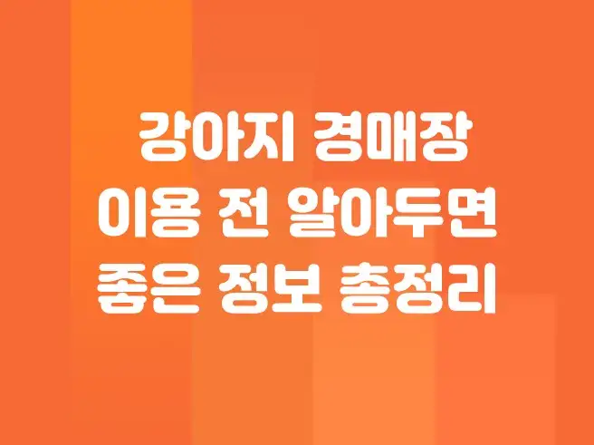 강아지 경매장 이용 전 알아두면 좋은 정보 총정리