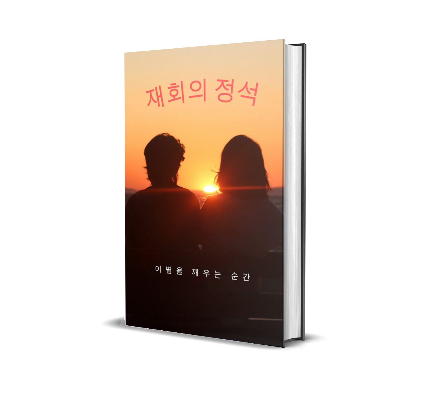 재회의 정석 책
