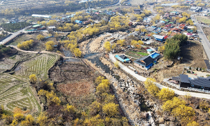 봄꽃 축제 산수유