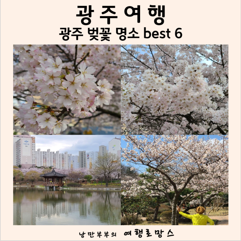 광주광역시 벚꽃 명소