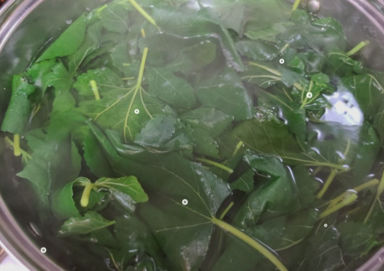 뽕잎을 깨끗이 씻어 준비