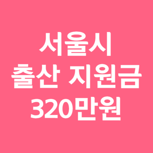 서울시 출산 지원금