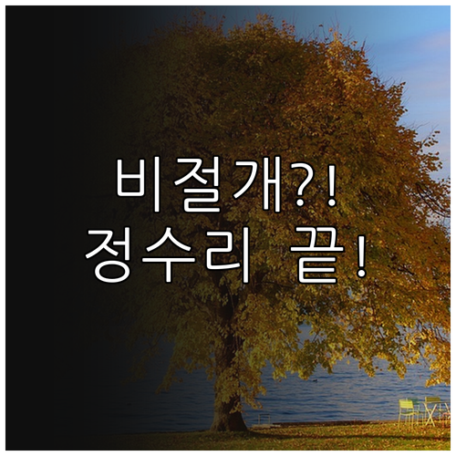 비절개 모발이식으로 정수리 탈모 해결..