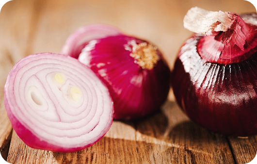양파즙-효능