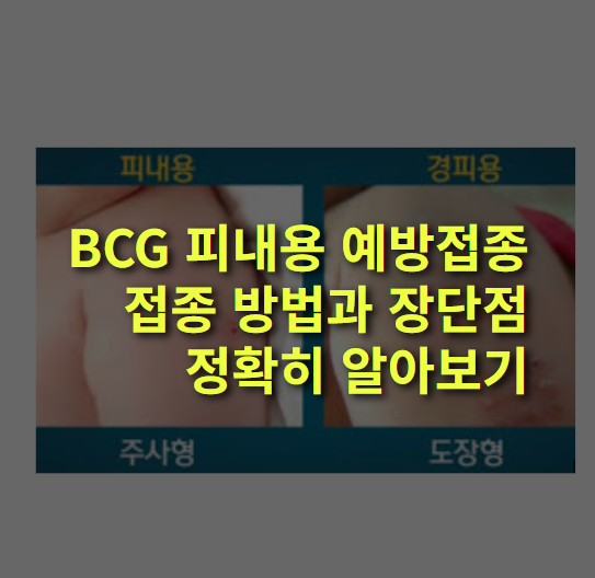 BCG 피내용 예방접종 접종시기, 종류 및 방법, 장단점 완벽정리!
