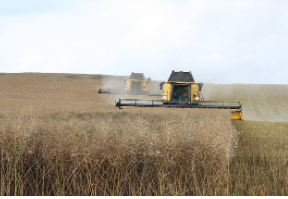 기술이 가져온 식품 혁명