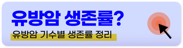 홍화씨 부작용