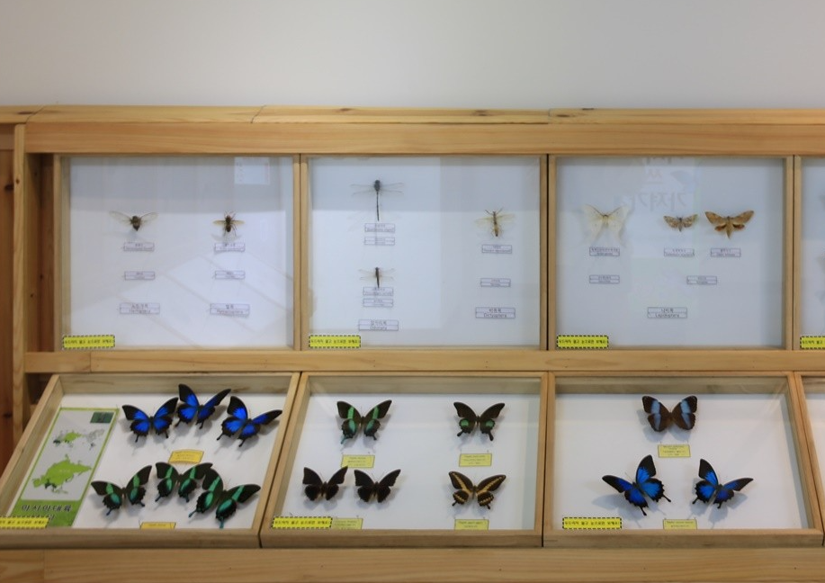  2024년도 대전 한밭수목원 곤충생태관 나비축제 체험