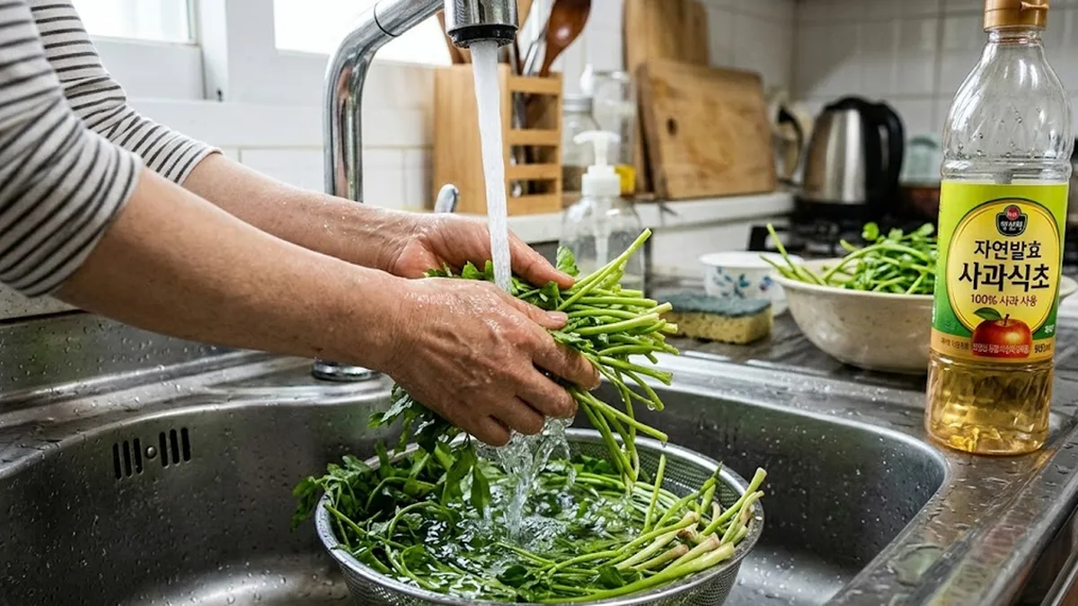 미나리씻는법