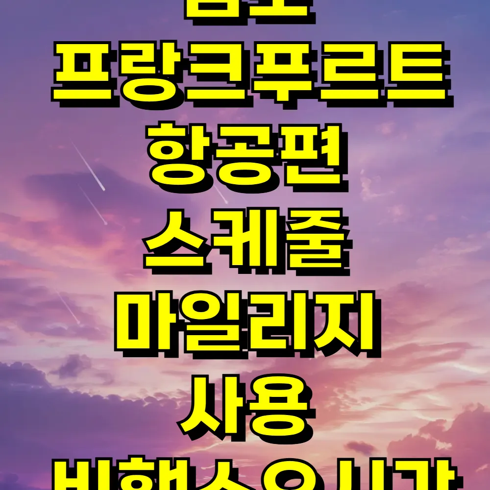 김포 프랑크푸르트 항공편 스케줄 마일리지 사용 비행소요시간