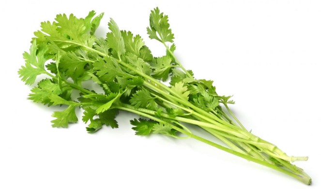 고수 효능 및 먹는법 / 보관법