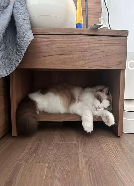 태광골프연습장