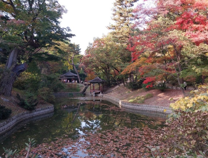 가을밤, 창덕궁 달빛기행 여행기 (2025 하반기) - 100분 동안 느낀 빛&middot;소리&middot;바람 관련 사진