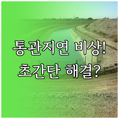 개인통관고유부호 오류 통관 지연 원인..