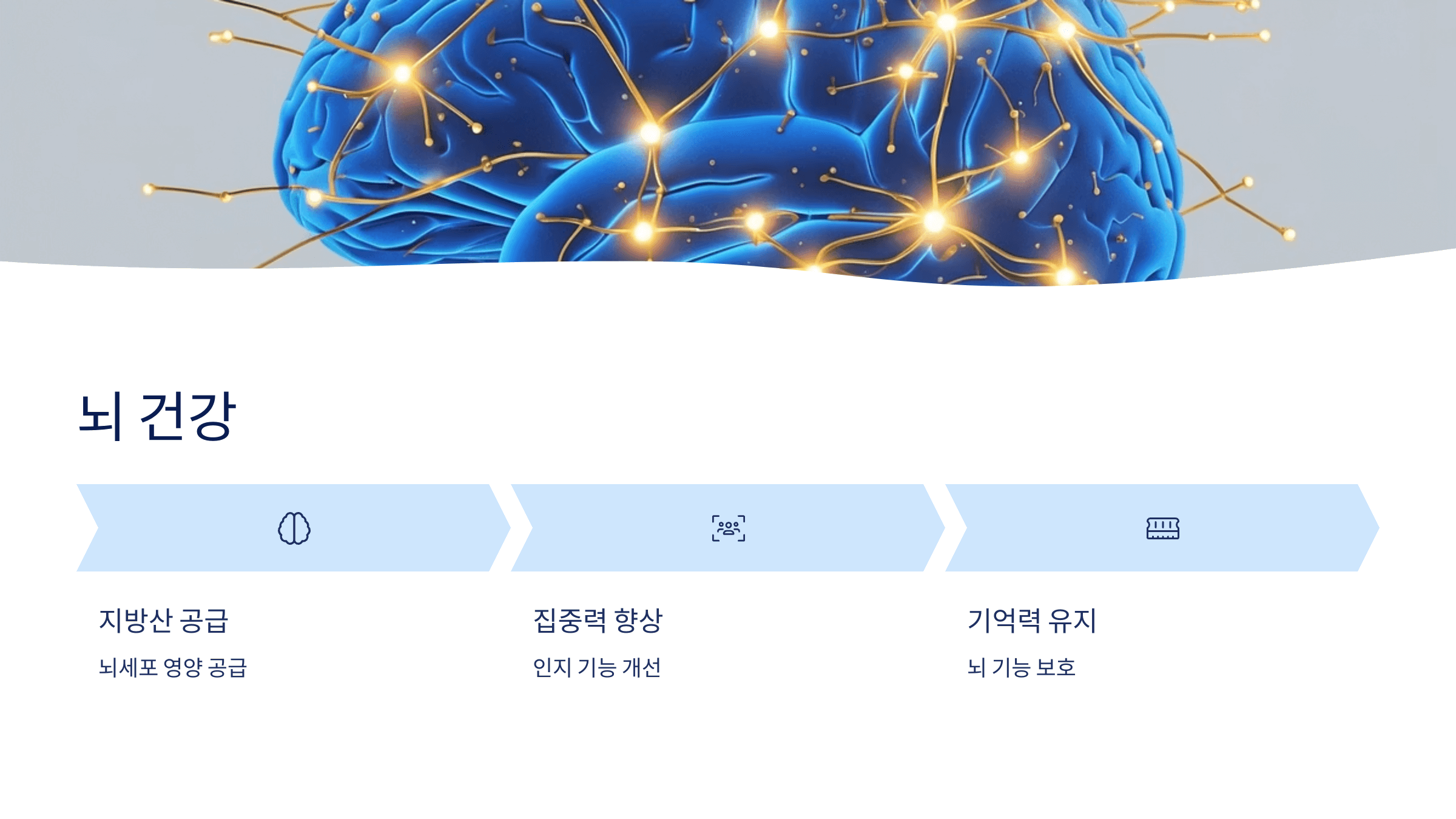 대마종자유와 관련된 사진입니다.