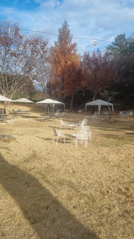 안동 뒤뜰카페 돈까스 맛집 임동 임하댐 근처 식당 추천