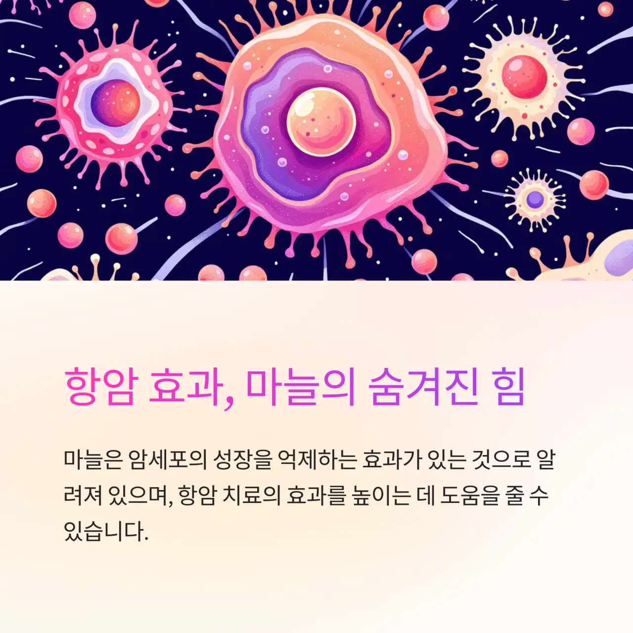항암 효과