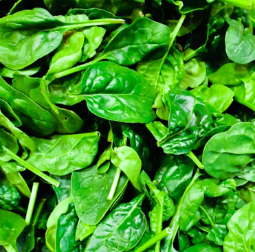 뼈 건강에 좋은 음식 10