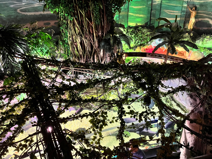 분위기 바뀌는 아마조니아 월드 2