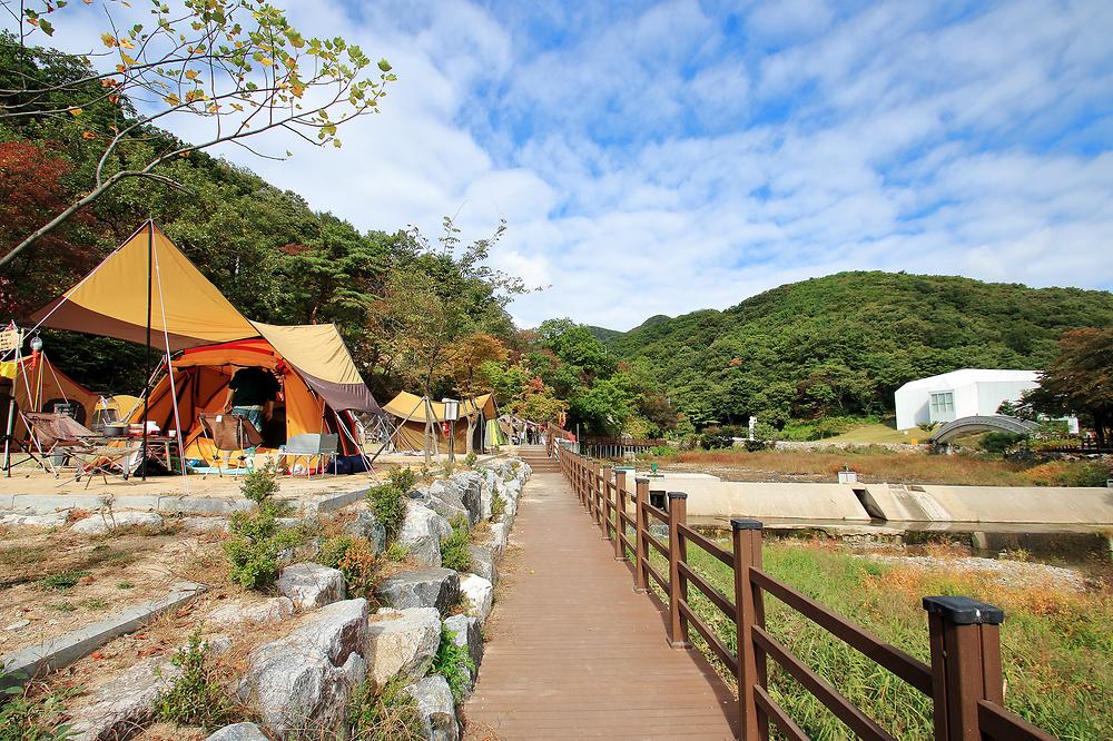 양주 장흥면 미술관옆 캠핑장 소개